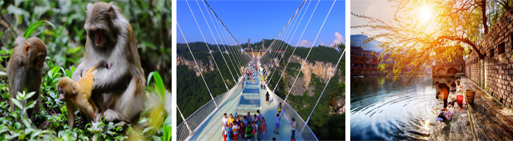 張家界跟團游,張家界自由行,張家界自駕游,張家界中國國際旅行社有限公司