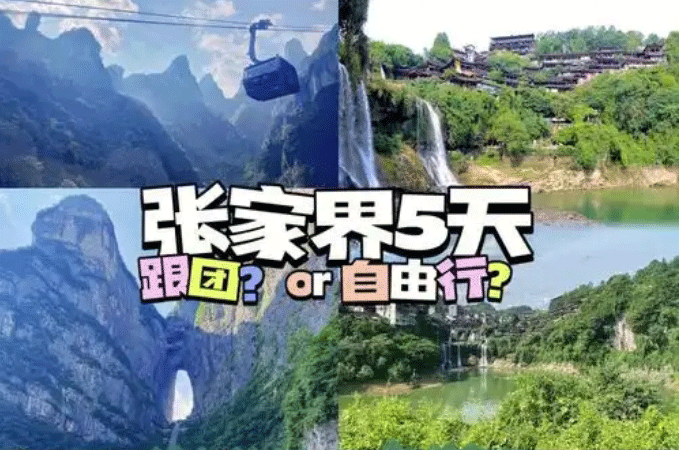 張家界跟團(tuán)游,張家界旅游攻略5天自由行,張家界自駕游,張家界旅游路線攻略,張家界中國國際旅行社